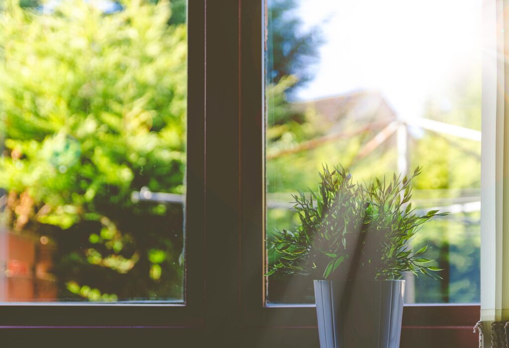 明るい日差しがさす窓辺とグリーンの植物の写真。